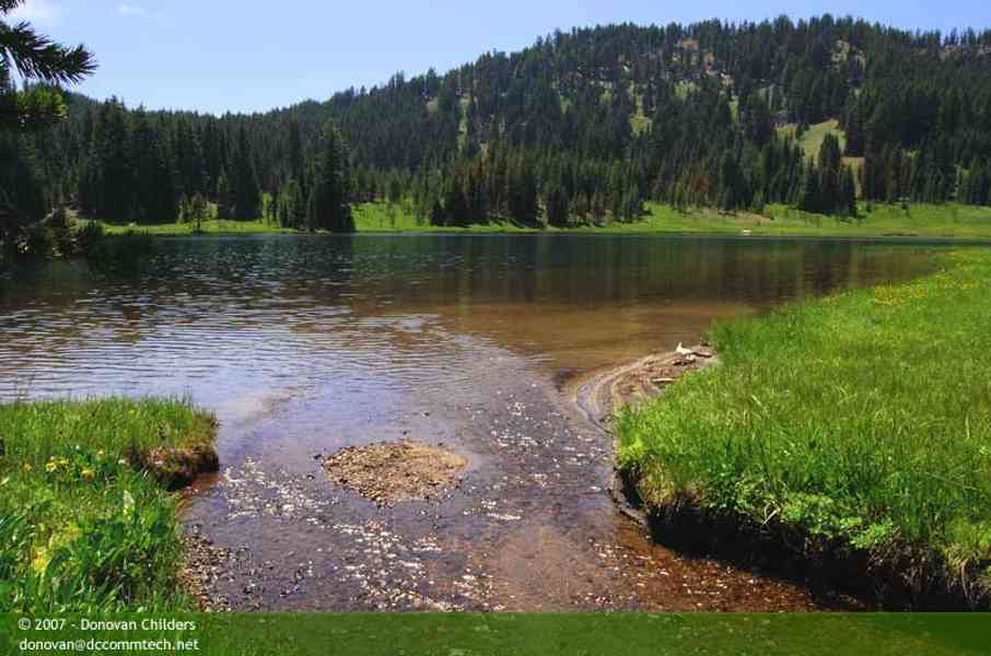 Looking toward Todd Lake by a stream