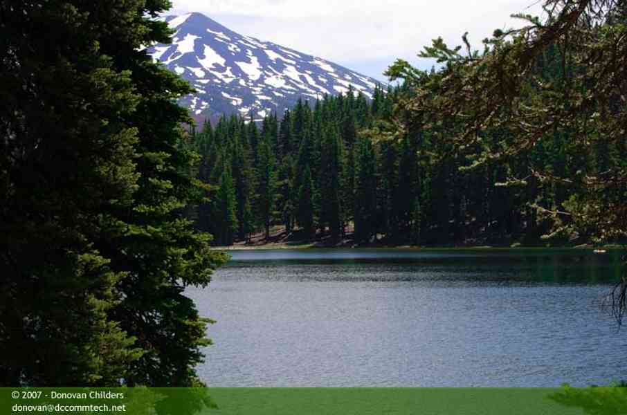 Through the trees toward Mt. Bachelor