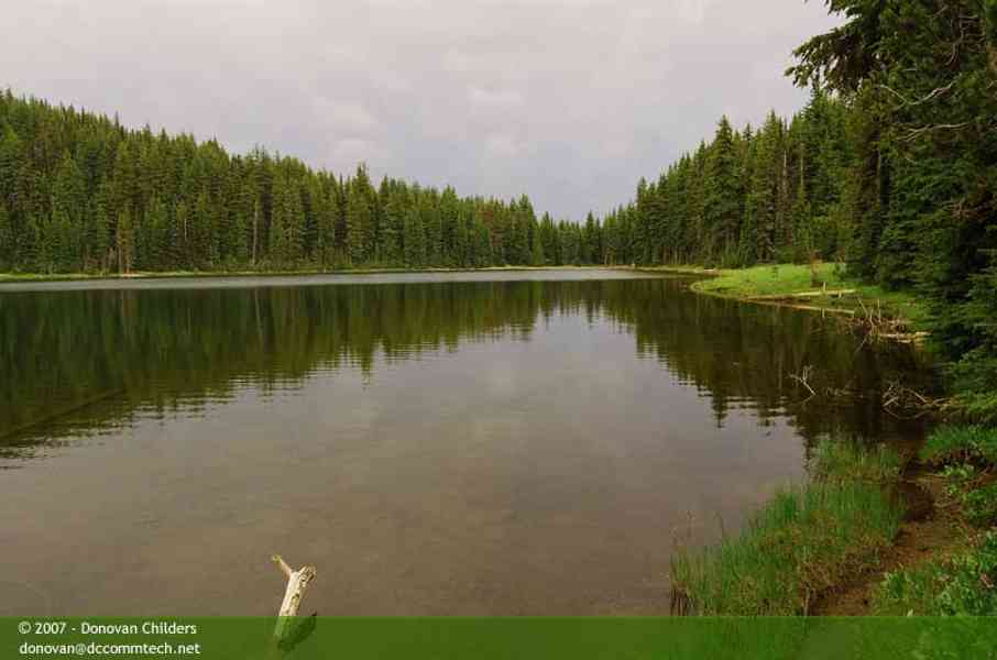 Still waters in the lake