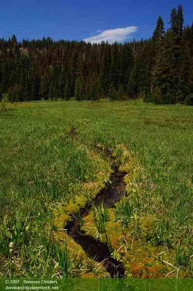 Small stream flows off the mountain to the lake