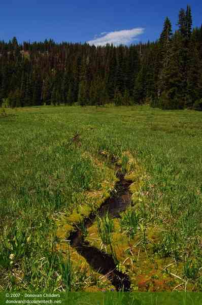 Small stream flows off the mountain to the lake
