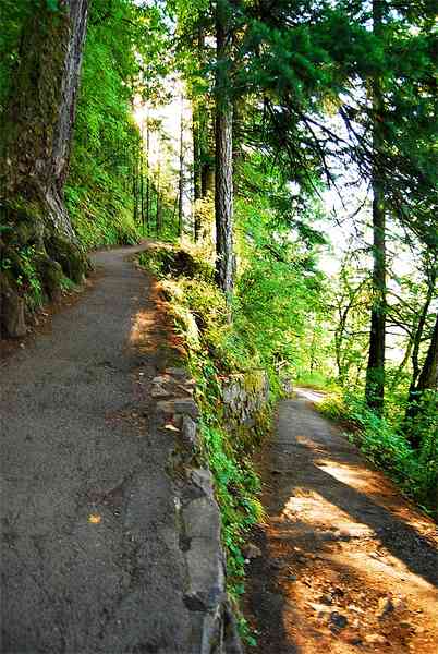 Many switchbacks in the path up to the top