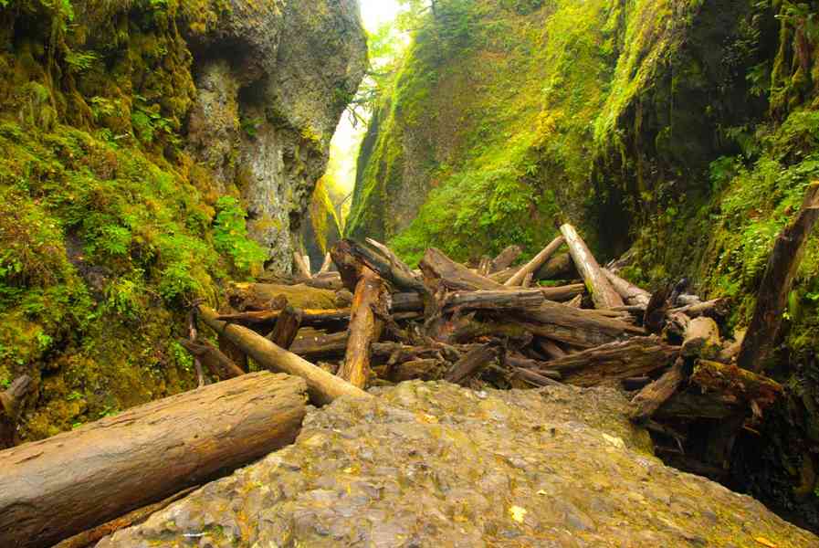 Oneonta Gorge River Dam