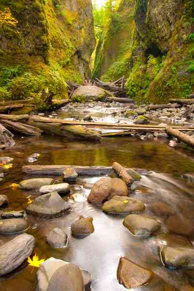 Oneonta Gorge River