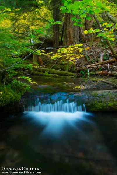 Proxy Falls Creek water over log