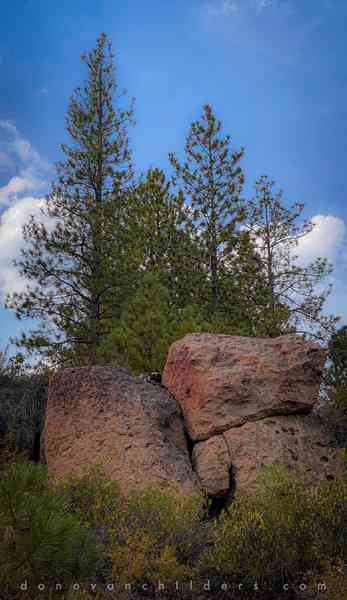 River Trail Walk at GoodDog! trail