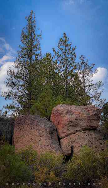 River Trail Walk at GoodDog! trail