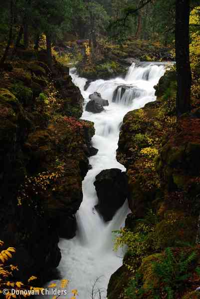 Rogue River Gorge