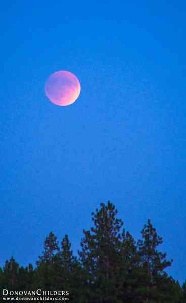 Making its way over the trees.